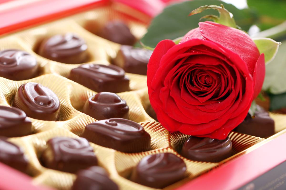 Close up of red rose and chocolate candies